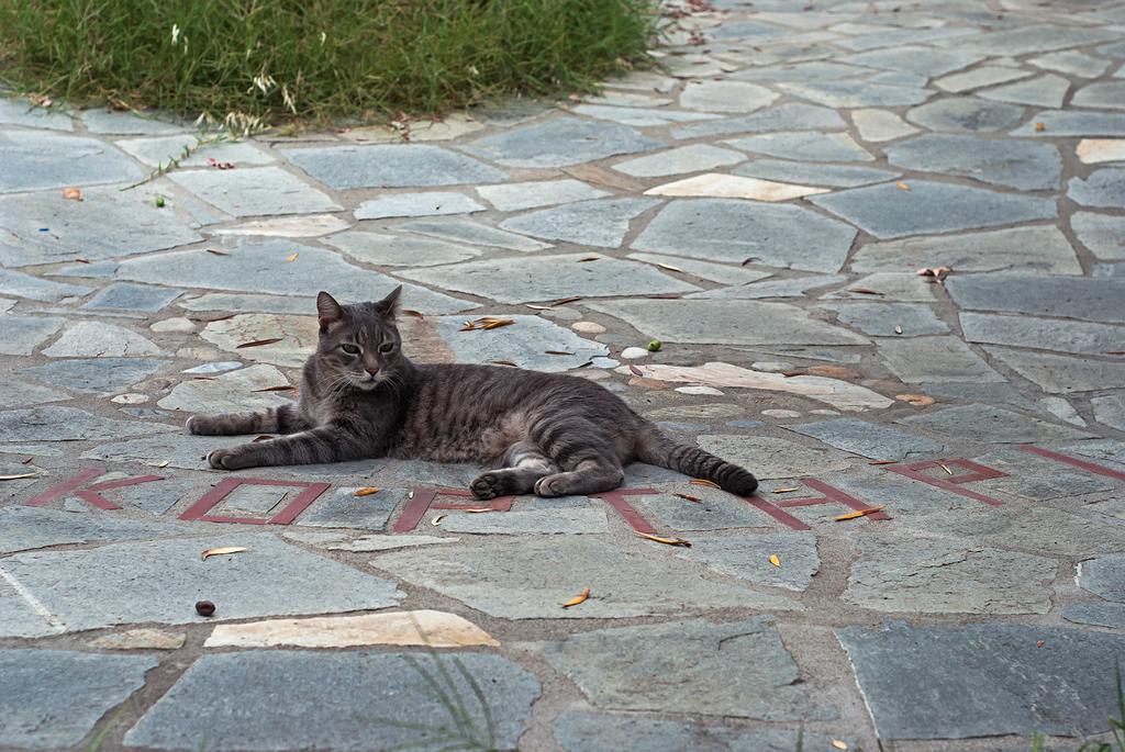 Kortiri